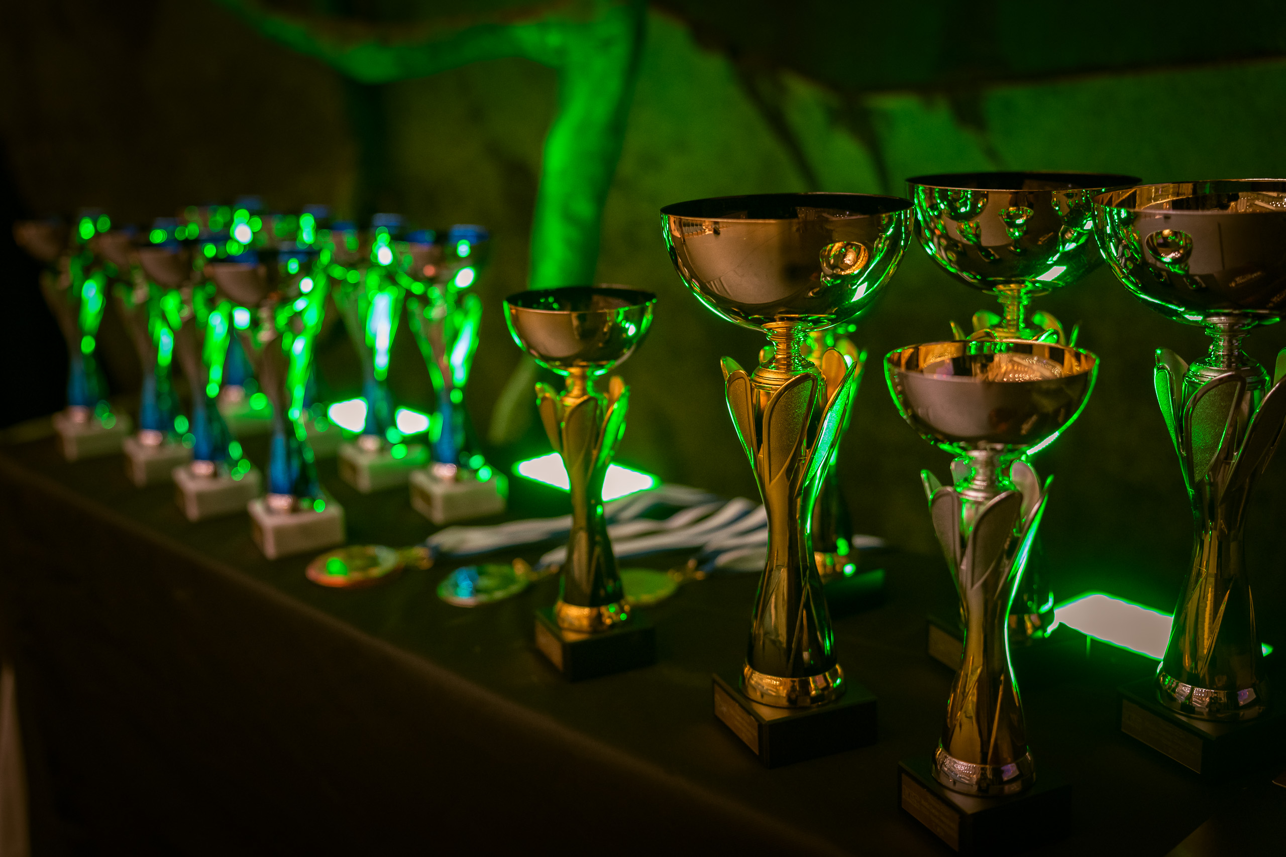 Cosplaykilpailujen palkintopokaalit vuonna 2024.